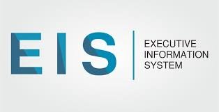 EIS (Excecutive Information System) Rumah Sakit